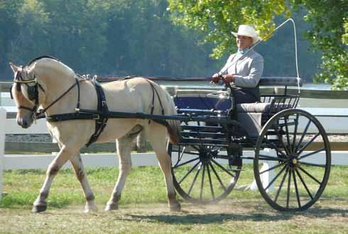 Chet Thomas, driving the horsesize Trina, won an impressive blue ribbon in Reinsmanship in the extremely competitive Single Horse Open division, proving that both Trina and Chet have learned to
