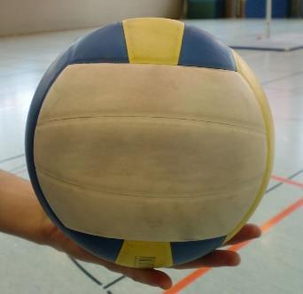 Introduction The present set of rules should serve as a first insight into the rules of volleyball. It is important to question these rules didactically before introducing them at school.
