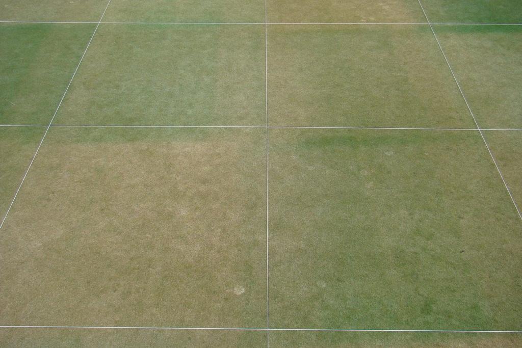 Fig. 3. Civitas + Harmonizer snow mold treatments on a creeping bentgrass green at the WSU Turfgrass and Agronomy Research Center in Pullman, WA. Rated on 27 Mar 2012.
