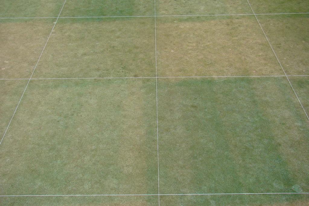 Fig. 5. Civitas + Harmonizer snow mold treatments on a creeping bentgrass green at the WSU Turfgrass and Agronomy Research Center in Pullman, WA. Rated on 27 Mar 2012.
