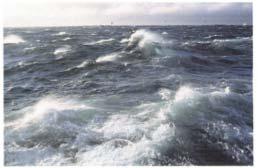 wind-generation region, the ocean is rough and chaotic because waves with