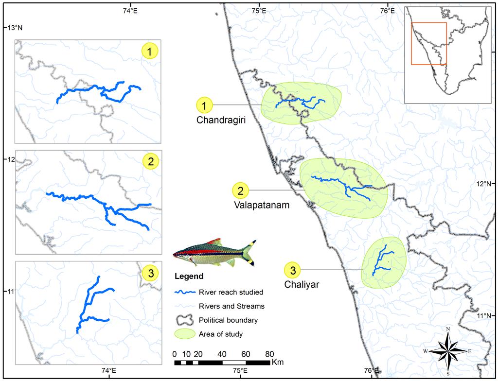 Reproductive biology of Puntius denisonii Karnataka Valapattannam Tamil Nadu Kerala Figure 1. The three river systems from where P.