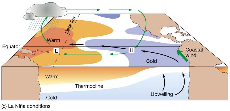 El Niño conditions (ENSO warm phase) Sea surface