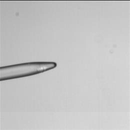 probe tip (c) TEM image of finished tip, (d) Top view of four points probe tip light is refracted