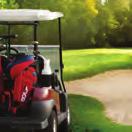 DIAMOND $42,500 2 teams of 4 players (8 golfers total) Tee & Green sponsorships at all courses Logo on tournament banners Logo on tournament golf carts $1,000 merchandise voucher per vendor VIP table