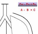 Why Airway Pressures Aren t Accurate: Transpulmonary Pressure (P TP ) The airway pressure displayed by the ventilator (Paw) actually reflects the pressure within the entire Respiratory System (A) Paw