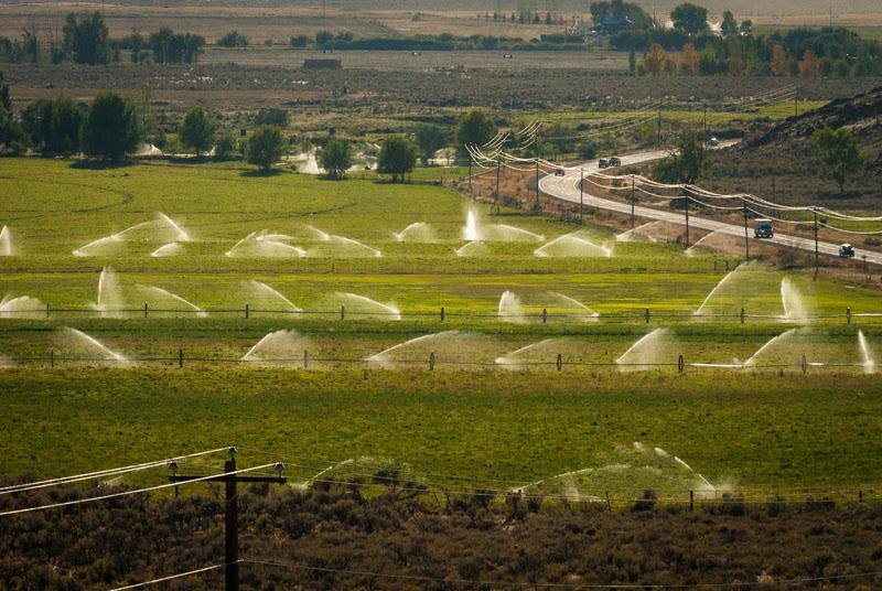 INTRODUCTION Working in agriculture can result in exposures to many types of respiratory hazards including pesticides, irritating dusts, and toxic gasses (like those in silos or near manure pits).