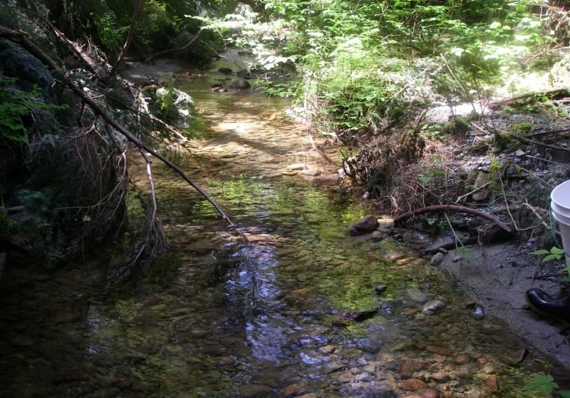 3.2.3 Meech Creek - Reach 3 Reach 3 starts approximately 207m upstream of the bridge crossing with decreasing gradient of <2 % and extends upstream to CO-35 confluence approximately 281m upstream of