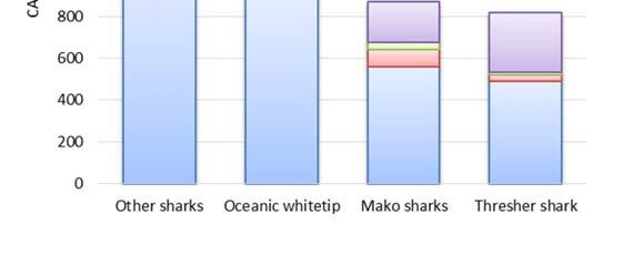 Logbooks for tuna longline fishery currently record the sharkbycatch as species-complexes; mako sharks, thresher sharks, hammerhead sharks, oceanic white tip shark and other sharks.