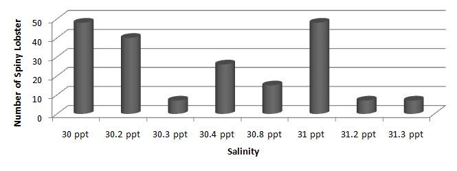 Figure 7. Number of spiny lobster relate to sea temperature during study period in southern coast of South Sulawesi. Figure 8.