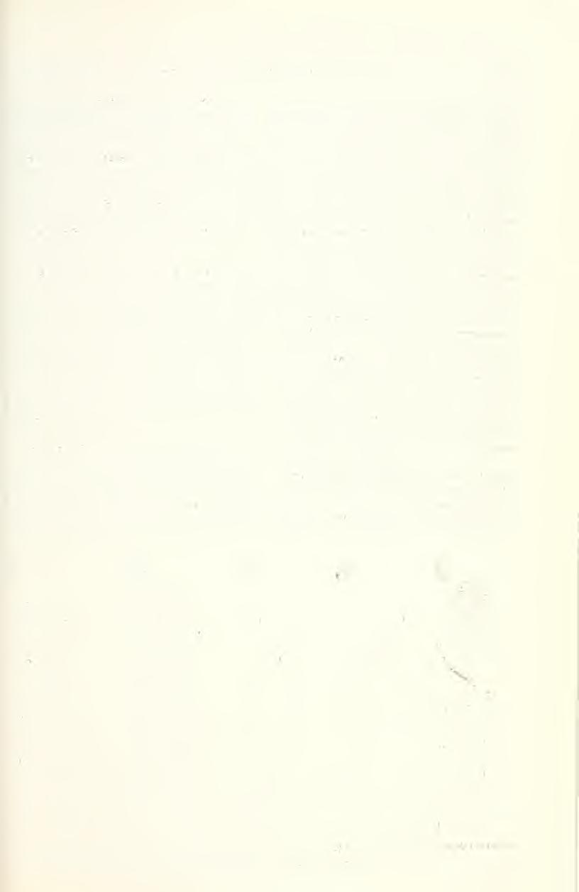 September 1980 SwEGMAN, Ferbington: Western Trichoptera 289 Chyranda centralis Banks. Wyoming (Park Co.): Ghost Creek, 27 July 1978, 1 female, collected L. Ferrington, identified A. Nimmo.