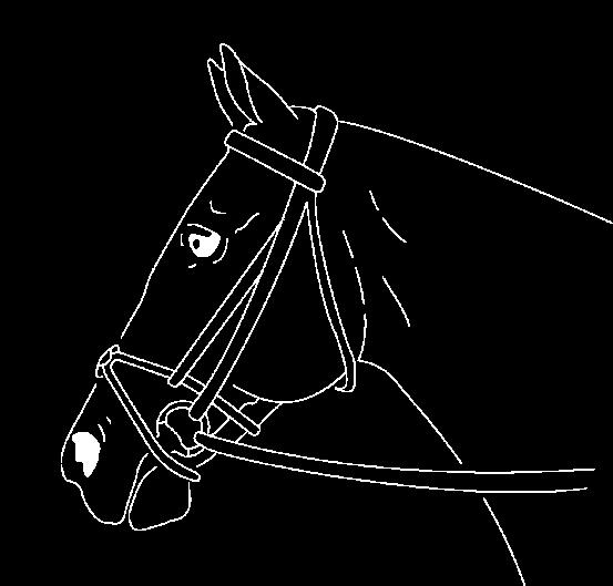 Micklem bridle 1, 3, 4 and 6 are not permitted