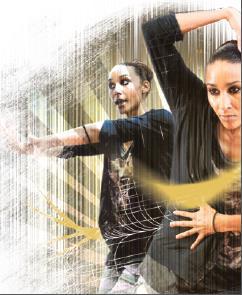 Dance Modules B- Professional Training : additional trainings 1- Locking Module Level 1 120h 1800 Content : Access to the locking class of the professional training in the 1 st year.