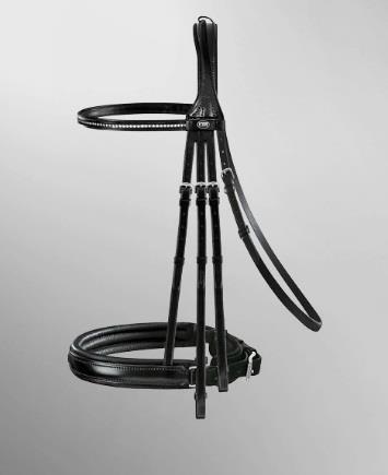 Fortuna Double Bridle