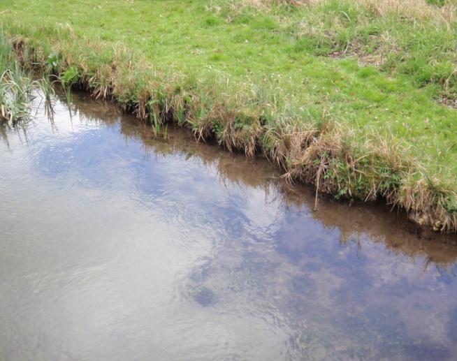 River Restoration for no cost in Hampshire! The historic image of a Hampshire chalk stream is often associated with neat and tidy banks.