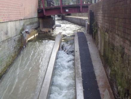 To enable fish passage, improve river habitat and reduce flood risk the weir height was reduced and a larinier fish pass and elver pass have been installed.