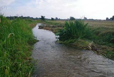 two-stage extending meanders by installing faggot revetments and brash mattresses coppicing overhanging willows to let light in and encourage macrophyte growth laying gravel to protect the bank when