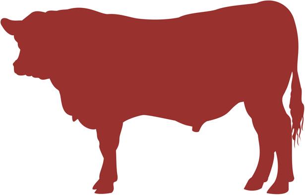 12. Grading will be done at time stock is judged and on the basis of market grades. Steers shall grade U.S. Select or better to be eligible for sale. 13.