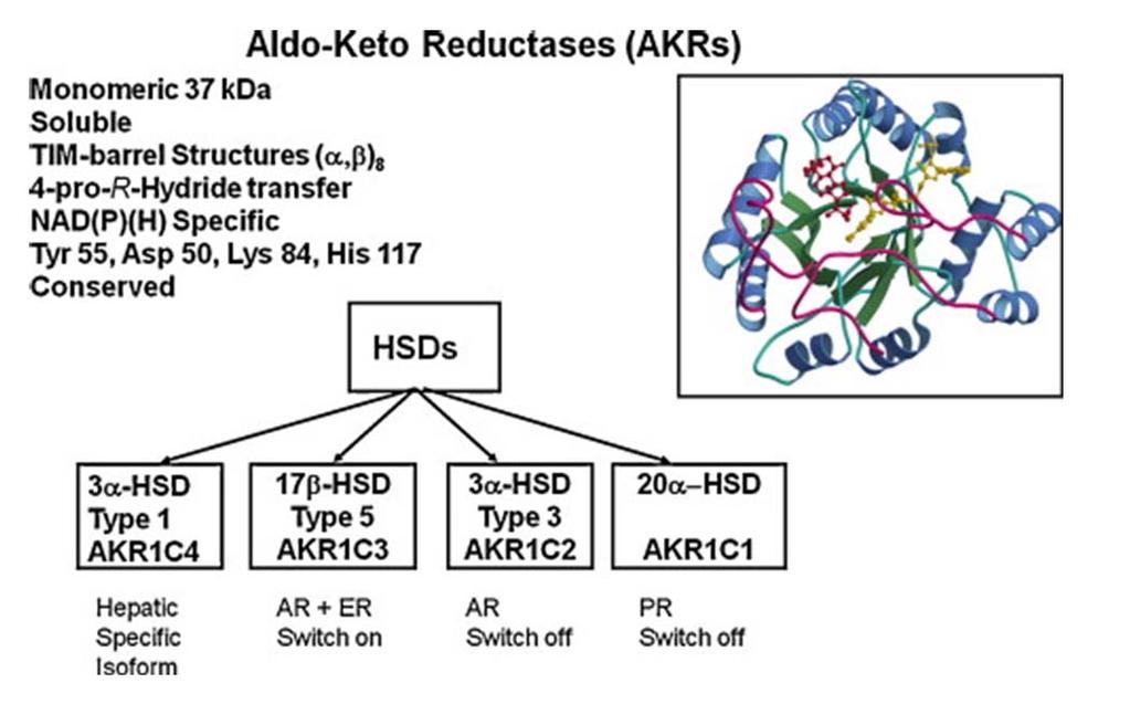 Introduction Figure 4a: Overview of the AKR