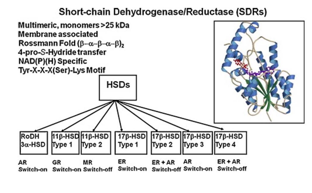 from Elsevier) Figure 4b: Overview of the SDR  from