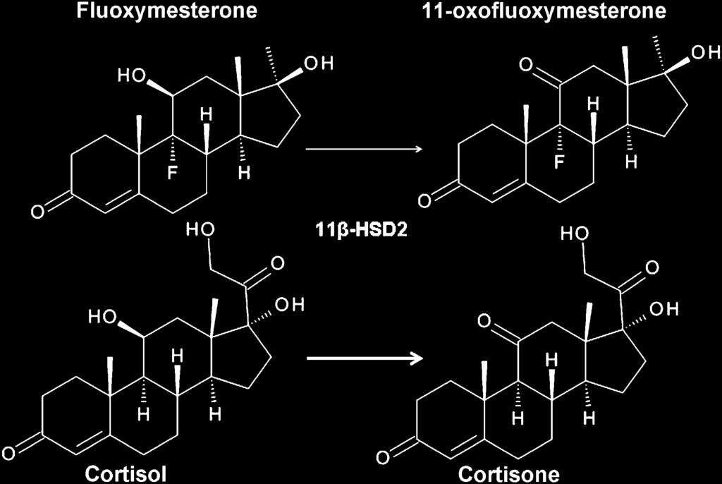 Cells were incubated for 24 h in the presence or absence of 10nM aldosterone with or without 1lM fluoxymesterone, followed by determination of galactosidase and luciferase activities.