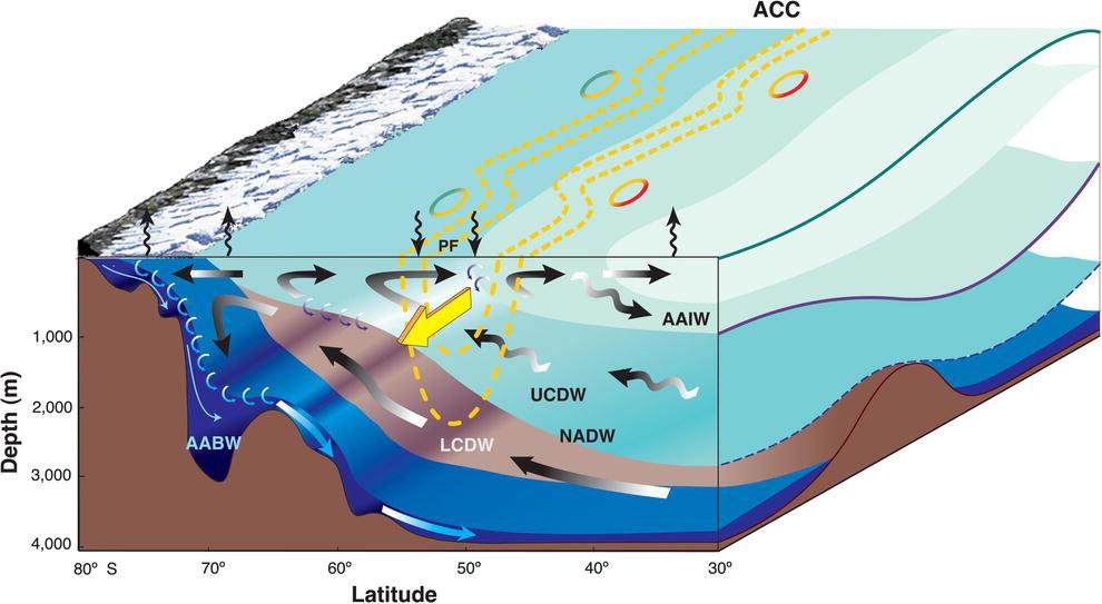 SOUTHERN OCEAN CIRCULATION Zonal flow Antarctic Circumpolar Current (ACC) Two meridional overturning cells Upwelling of deep water Northward return in bottom and intermediate layers Olbers
