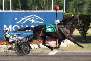 The 37-year-old Gingras, a native of Quebec, handled many of the sport s stars last year, and was the first call driver for the two barns that dominated much of the Grand Circuit stakes scene in