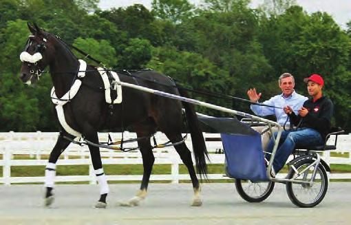 Harness Horsemen International Awards Harness Horsemen International, which has represented the horsemen s associations throughout the US and Canada since 1964, presents its Dominic Frinzi Person of
