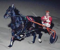 A few years later, she earned her pari-mutuel driver s and trainer s licenses. In 1975, Alphen began the Racetrack Ministry at Rockingham Park.