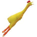 GRADE LEVEL: 1-7 1 rubber chicken Open space (gymnasium/field) Students are divided into two teams Team A is standing in a line (one behind the other) and Team B stands in a circle (closely together,