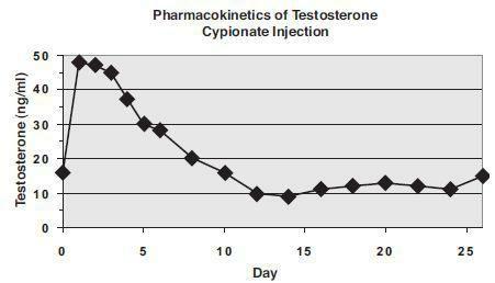 period of rebound spermatogenesis (due to temporarily higher than normal gonadotropin levels).