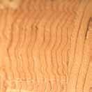 AAA-grade hi-density cork grips.