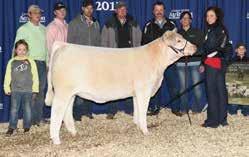 6-1.1 7 11 4 0.9 8 0.3 Lot 15 as a calf Selling one-half interest and the buyer s option to double the bid and take 100% of this awesome brood cow.