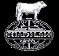 Junior Charolais & Percentage Heifer Shows Open Percentage Charolais Heifer Show 1 p.m.