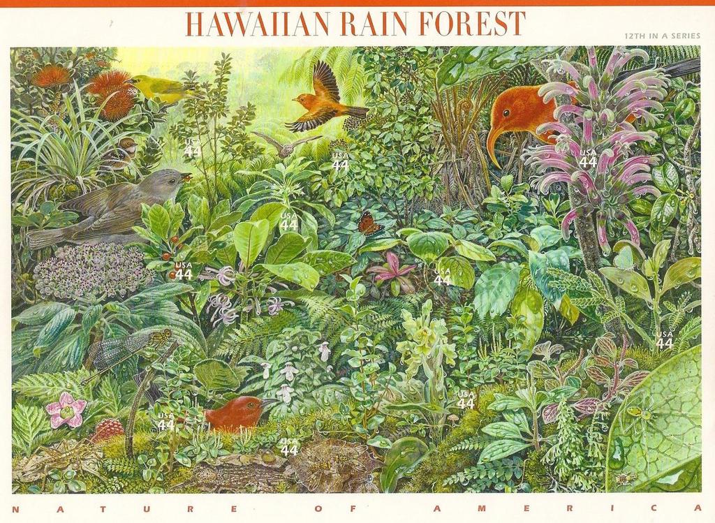 Hawaii is the only state in the United States that has tropical rainforests.