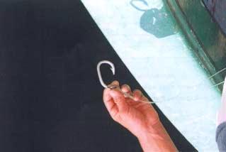 Figure 32 Hook used in catching BFT THE LUZZU (fishing boat) The luzzu is a typical Maltese fishing boat.