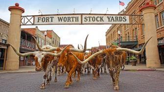 The City of Cowboys & Culture is the 16th-largest city in the United States and part of the No. 1 tourist destination in Texas, welcoming 8.8 million visitors annually.