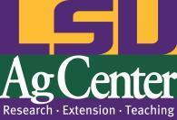 Martin 4-H The LSU Agricultural Center, a statewide campus of the LSU System, and Southern University Agricultural Research and Extension Center, a statewide campus of the
