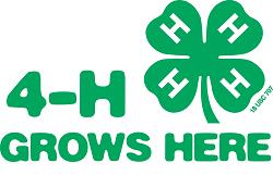 An adult must attend the meeting with the 4-H member.