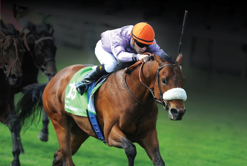 Makfi Challenge Stakes 2014 A relatively lightly raced mare with just 19 starts to her name thus far, the Zabeel mare Zonza has always looked a horse with well above average.