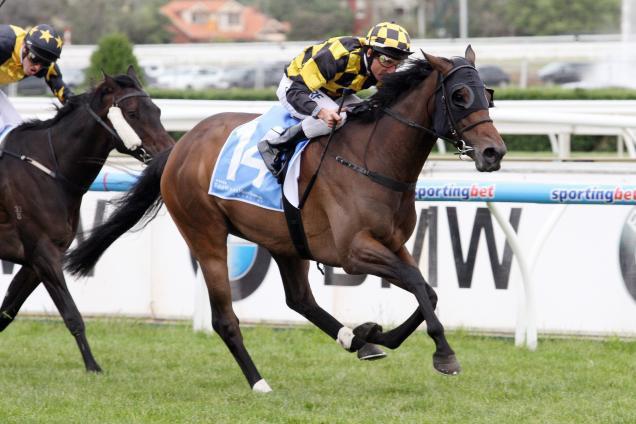 In May of 2013 Zonza s connections owners, and trainer Roger James, embarked on her first visit to Australia with the daughter of Zabeel to contest the Listed Rowley Mile at Hawkesbury.