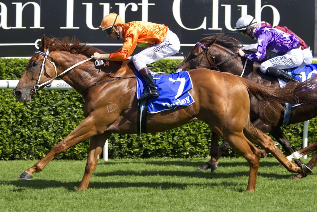 Westbury Runners to Follow Postponed 22/08 Singapore Class 4 Handicap S$60,000 1200m 23/08 MVRC SAJ Fruit Supply Handicap A$80,000 2040m Listed Mitchell McKenzie Stakes A$121,000 1200m 24/08