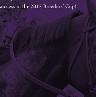 BREEDERS CUP CLASSIC American