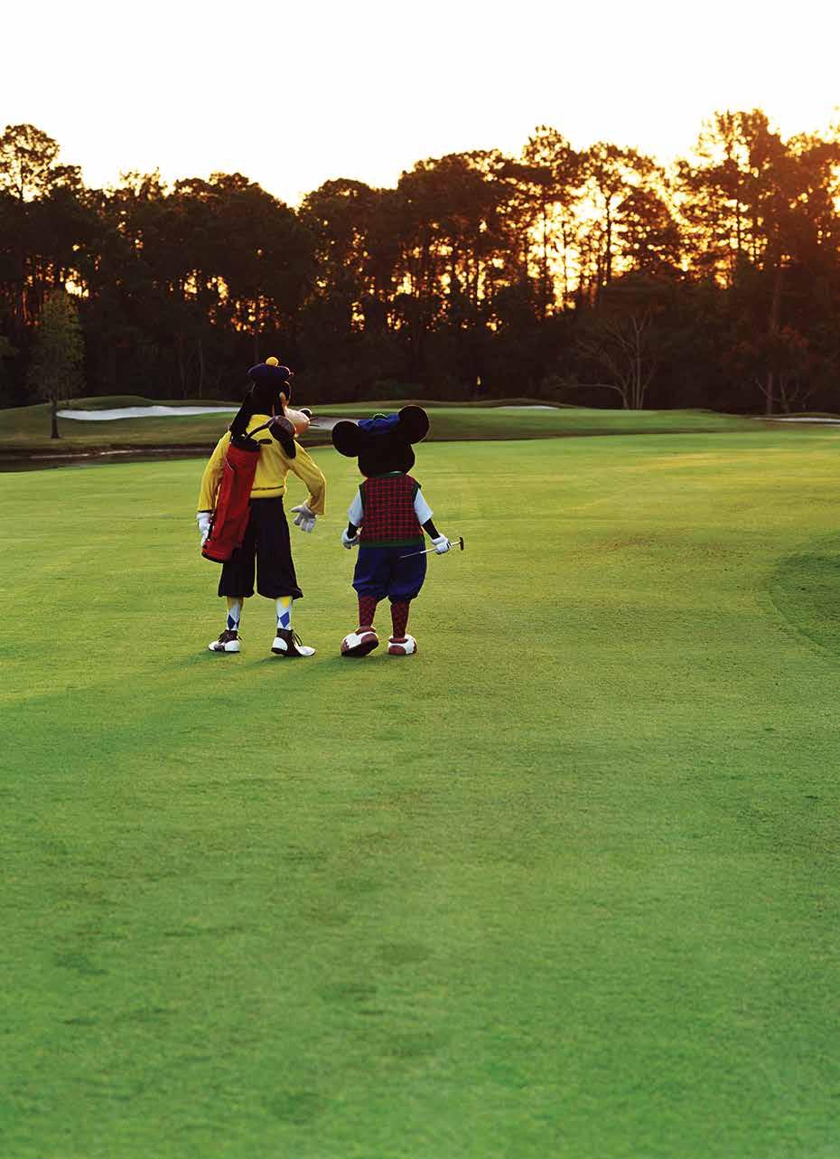 Welcome to the Happiest Place on Turf! We offer facilities and services to players of all ages and skill levels!