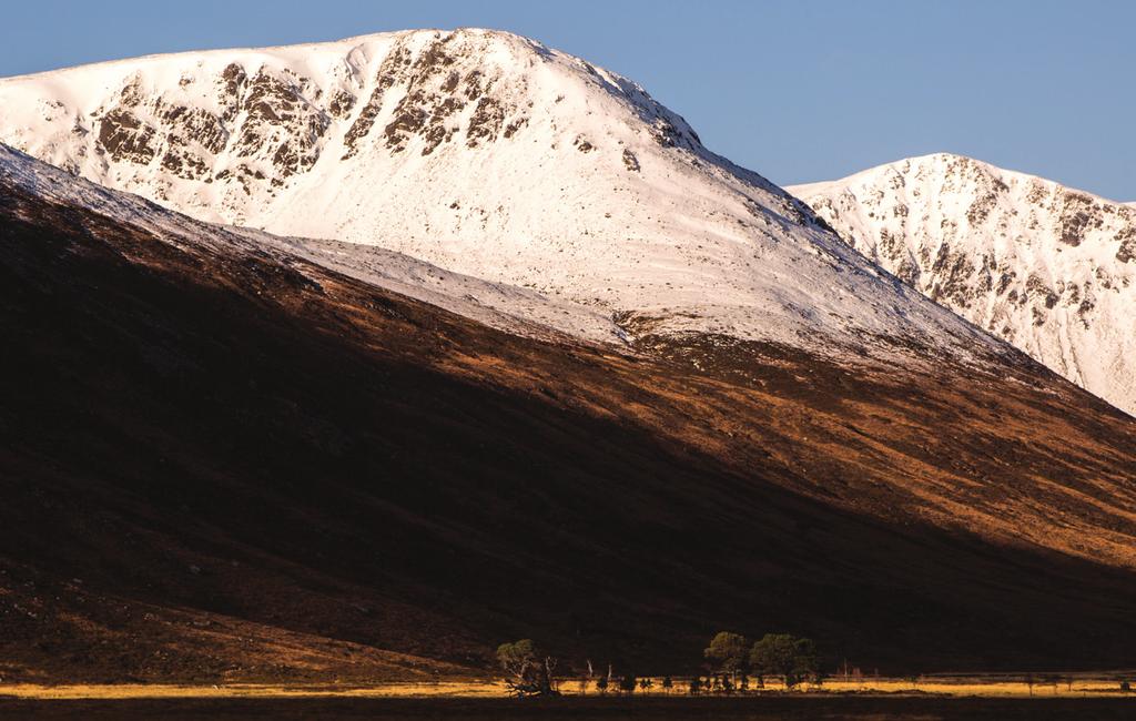 SUMMER ON THE HIGH PLATEAU CAN BE AS DELECTABLE AS HONEY BRAEMAR Surrounded by the majestic Grampian Mountains and ancient woodlands, Braemar is a delightful village and a year round destination.