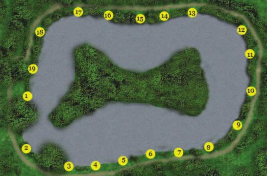 5 Acres Oval lake with one big island in the middle. Depths range from 6 feet in the middle, sloping at 45 degrees towards either bank. Carp, Skimmer Bream, Tench, Roach and F1 Carp.