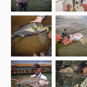 Instagram and YouTube, help to inform anglers about new