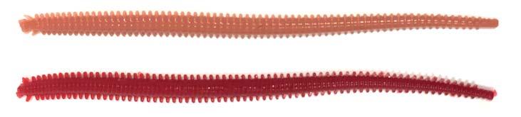 Tail Minnow 6" (4 pack) 330067 Herring (NEW) 330068 Red Head (NEW)