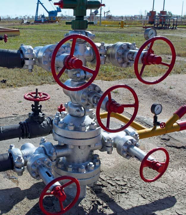 Gas flow eters W30 eliability is vital aintenance on wellheads is costly, especially if the wells are in reote locations.