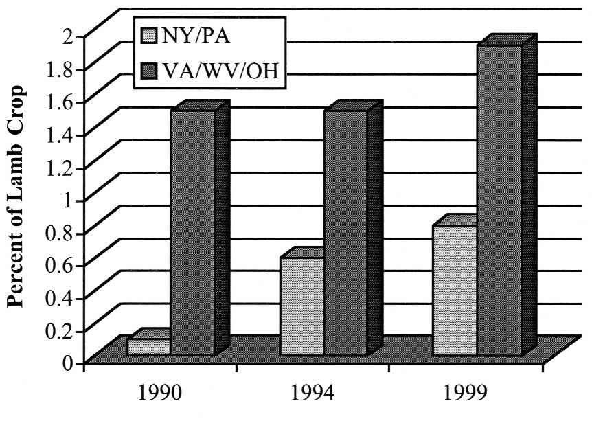 Figure 2. Percent of lamb crop killed by coyotes in New York and Pennsylvania compared to Virginia, West Virginia, and Ohio. period (Fig. 2).